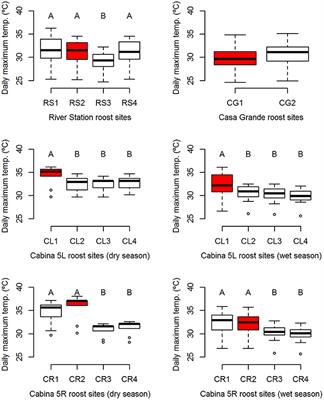 Thermoregulatory Requirements Shape Mating Opportunities of Male Proboscis Bats